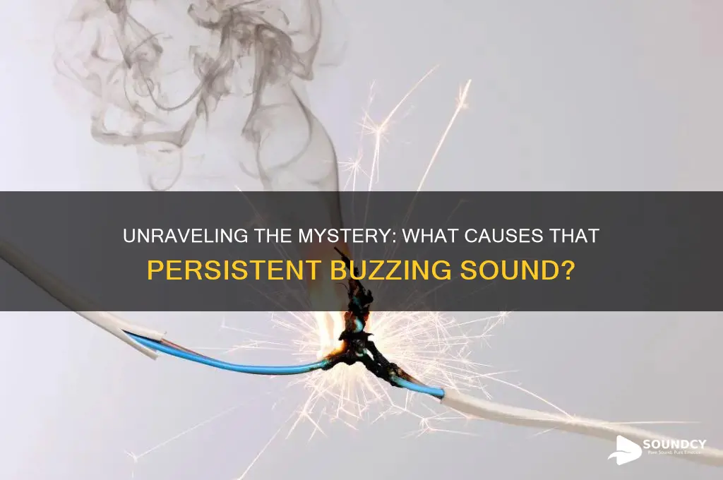 what makes a buzzing sound
