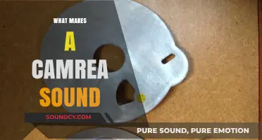 Unveiling the Mechanics Behind a Camera's Distinctive Shutter Sound