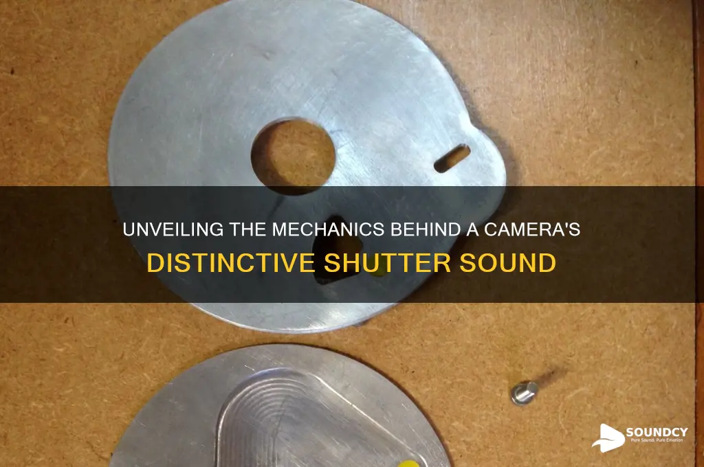 what makes a camrea sound