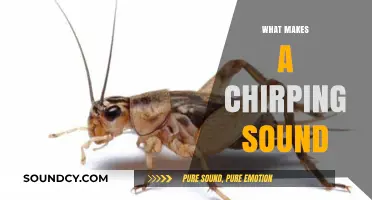 Unveiling the Mystery: What Causes That Familiar Chirping Sound?