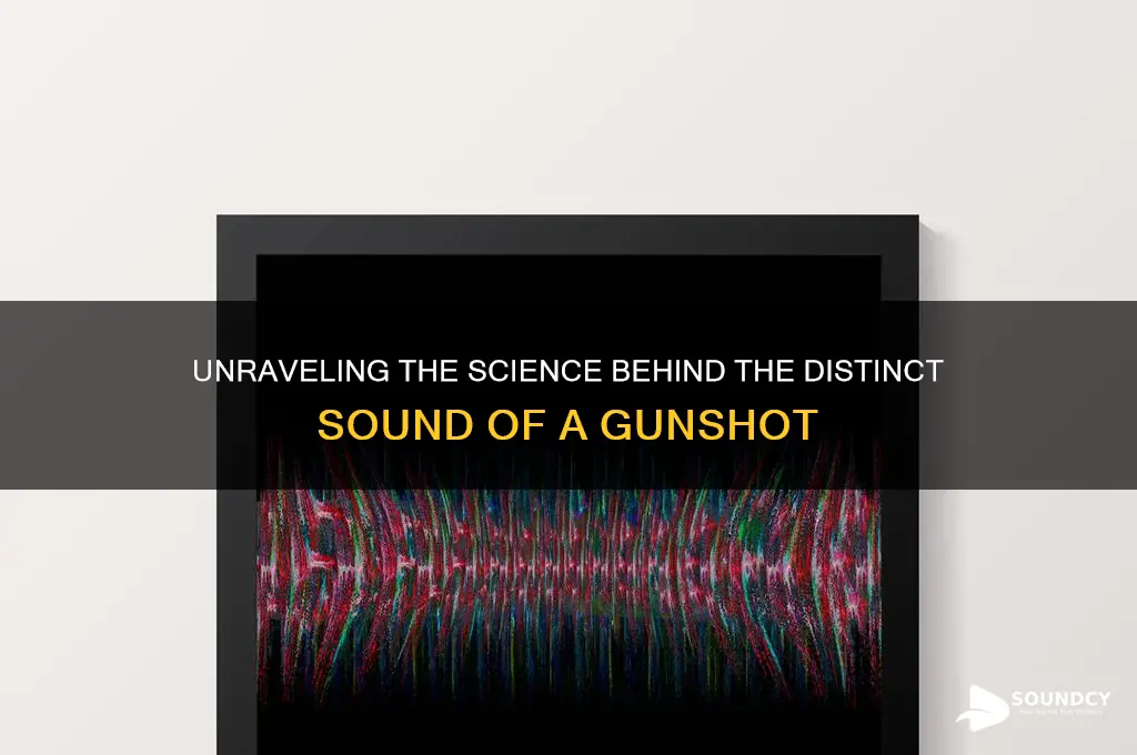 what makes a gunshot sound