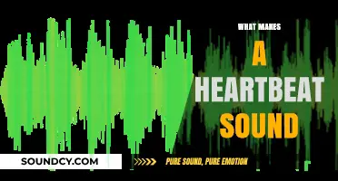 Understanding the Science Behind the Rhythm of a Heartbeat Sound