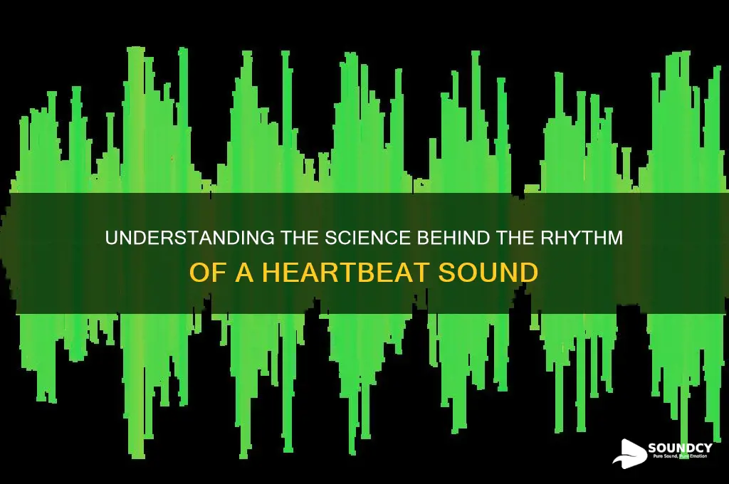 what makes a heartbeat sound