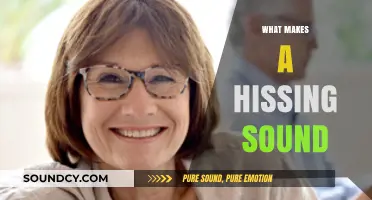 Unraveling the Mystery: What Causes That Distinctive Hissing Sound?