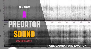 Unveiling the Acoustic Secrets of Predators: Sounds That Hunt and Haunt