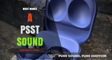 Unraveling the Mystery: What Causes the Unique Psst Sound?