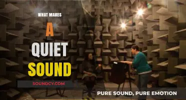 Unveiling the Science and Art Behind What Makes a Quiet Sound