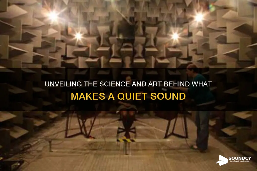 what makes a quiet sound