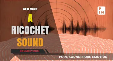 Unraveling the Science Behind the Ricochet's Distinctive Echoing Sound