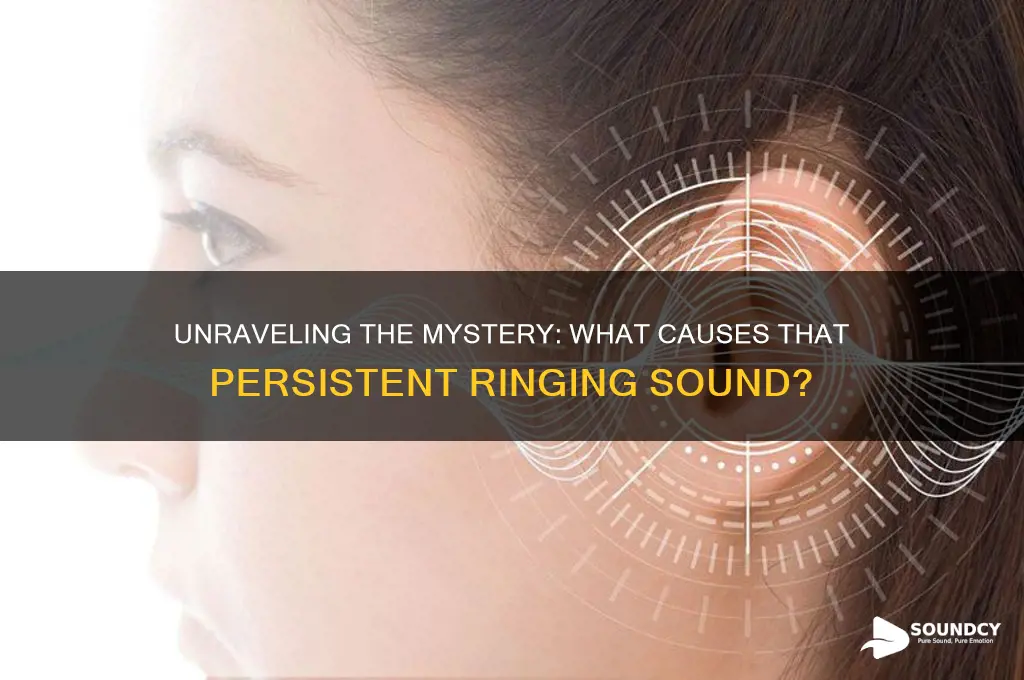 what makes a ringing sound