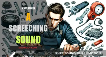Unraveling the Mystery: What Causes That Screeching Sound?