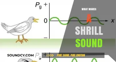 Understanding Shrill Sounds: Causes, Characteristics, and Their Impact on Hearing