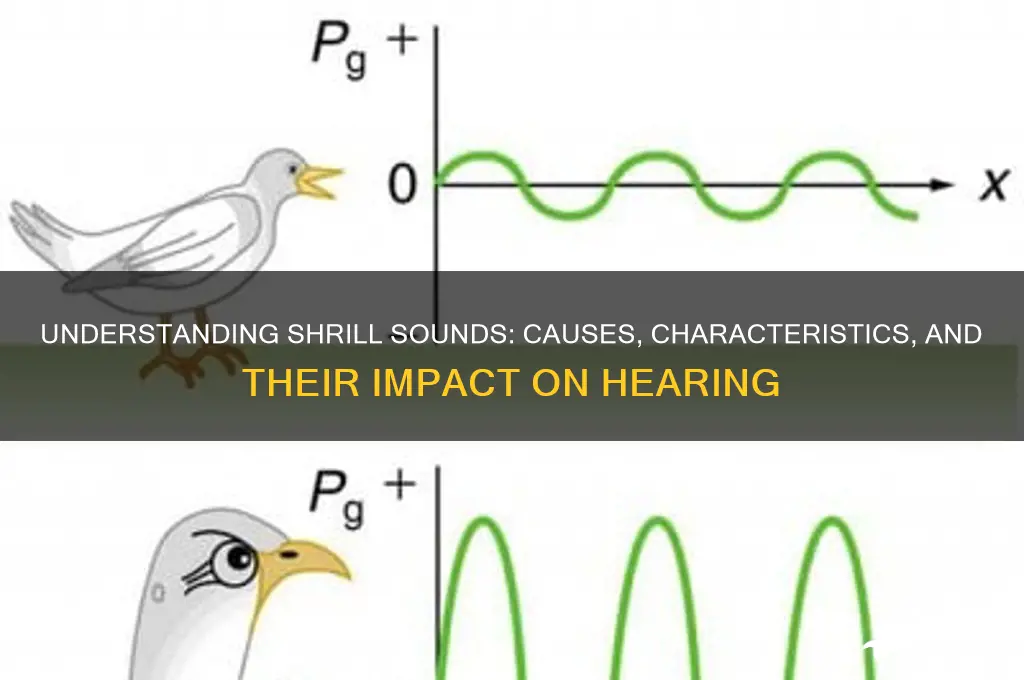 what makes a shrill sound