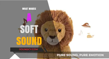 Exploring the Gentle World: What Makes a Soft Sound Soothing?