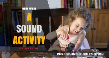 Unveiling the Key Elements of a Truly Sound Activity