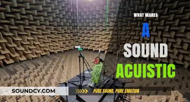 Exploring the Science and Art of What Makes Sound Acoustic