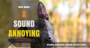 Why Certain Sounds Irritate Us: Unraveling the Science of Annoying Noises