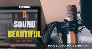 Exploring the Elements That Transform Sound into Beauty and Emotion
