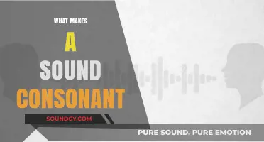 Understanding Consonants: Key Factors That Define Their Distinctive Sounds