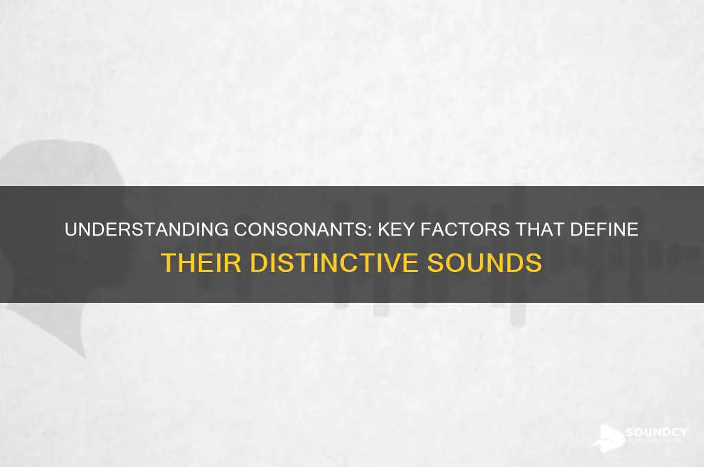 what makes a sound consonant