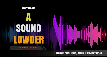 Understanding the Science Behind What Amplifies Sound Intensity