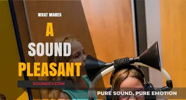 Unraveling the Science Behind What Makes Sounds Pleasantly Captivating