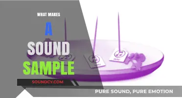 Understanding Sound Sampling: Key Elements and Techniques Explained