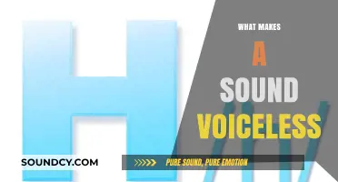 Understanding Voiceless Sounds: Key Factors and Phonetic Mechanisms Explained