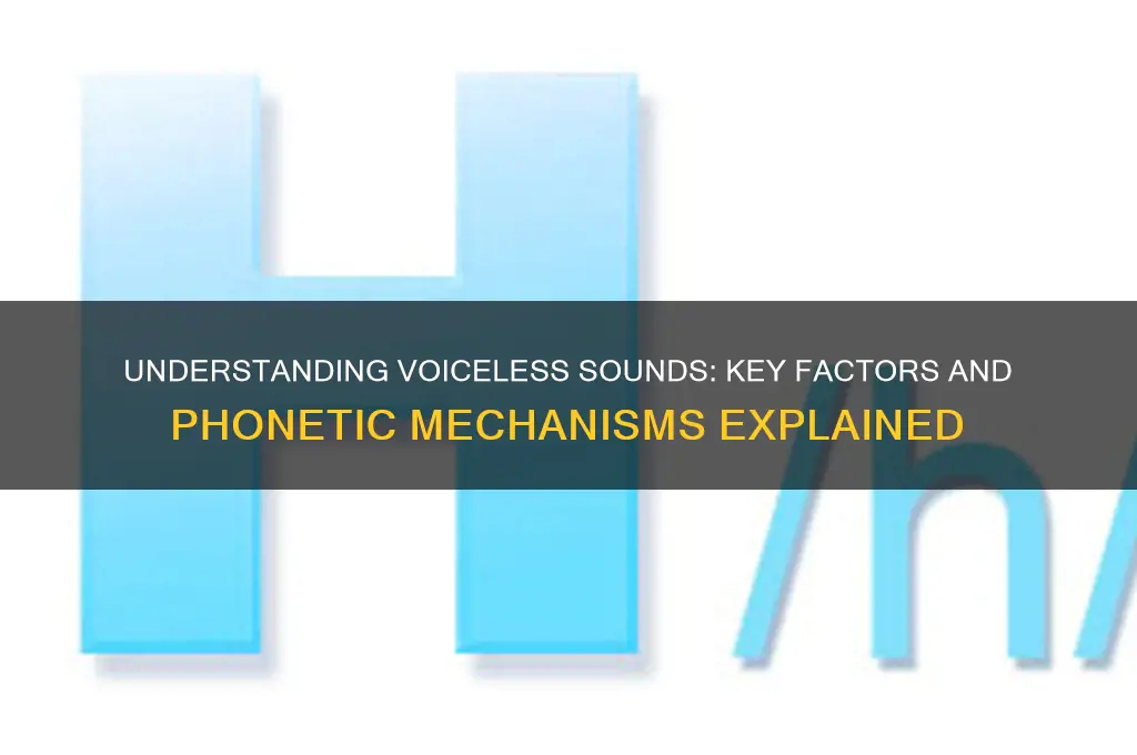 what makes a sound voiceless
