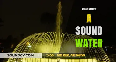 Understanding the Key Factors That Define a Sound Water Source