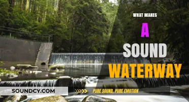 Key Elements of a Healthy, Sustainable, and Sound Waterway