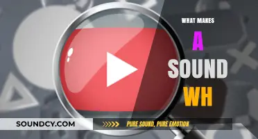 Understanding the Science and Art of What Makes a Sound 'Wh