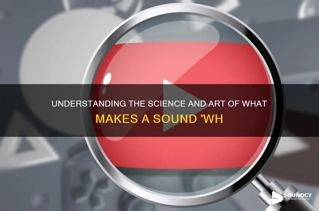 what makes a sound wh
