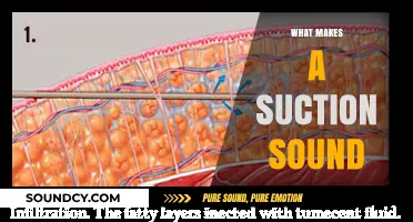 Understanding the Science Behind What Creates a Suction Sound