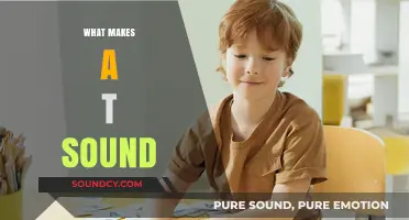 Unraveling the T Sound: Articulatory Mechanics and Acoustic Characteristics Explained