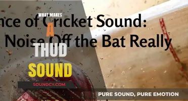Unraveling the Science Behind the Distinctive Thud Sound