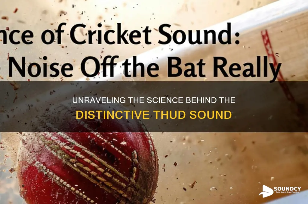 what makes a thud sound