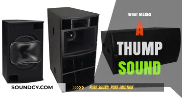 Unraveling the Mystery: What Causes That Distinctive Thump Sound?