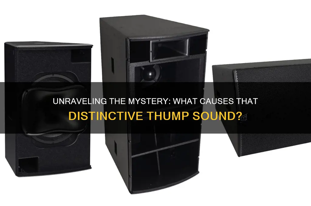 what makes a thump sound