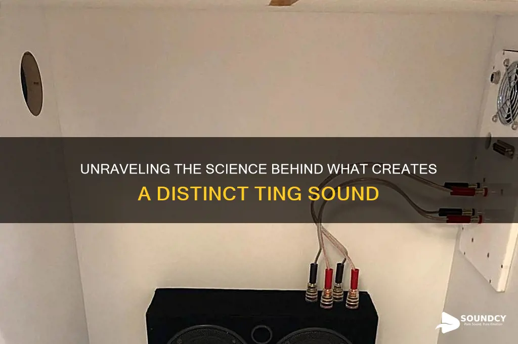 what makes a ting sound
