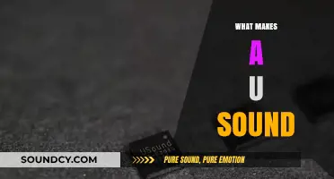 Understanding the Unique Qualities That Create the Perfect U Sound