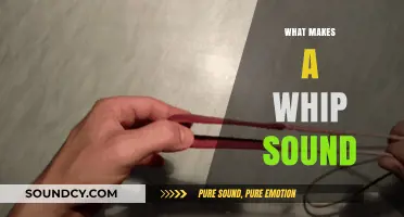 The Science Behind the Crack: What Makes a Whip Sound