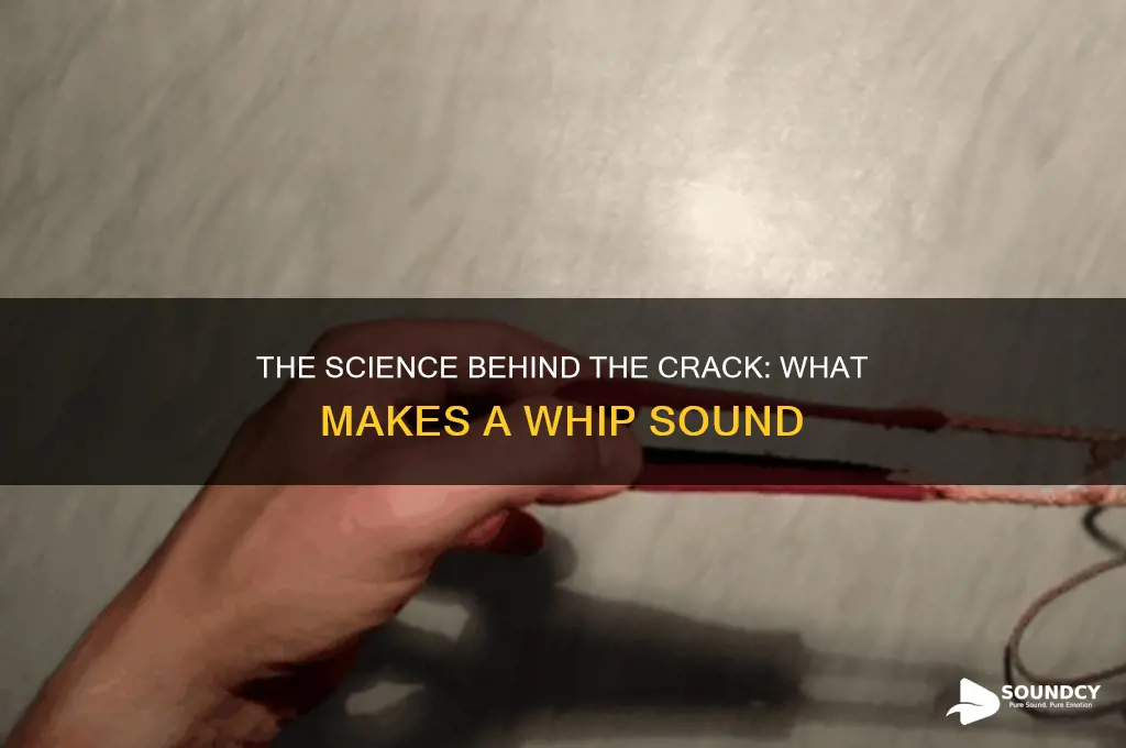 what makes a whip sound