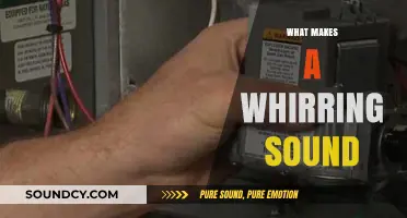 Unraveling the Mystery: What Causes That Persistent Whirring Sound?