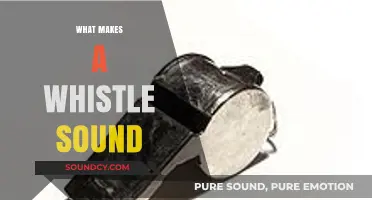Understanding the Science Behind What Makes a Whistle Sound