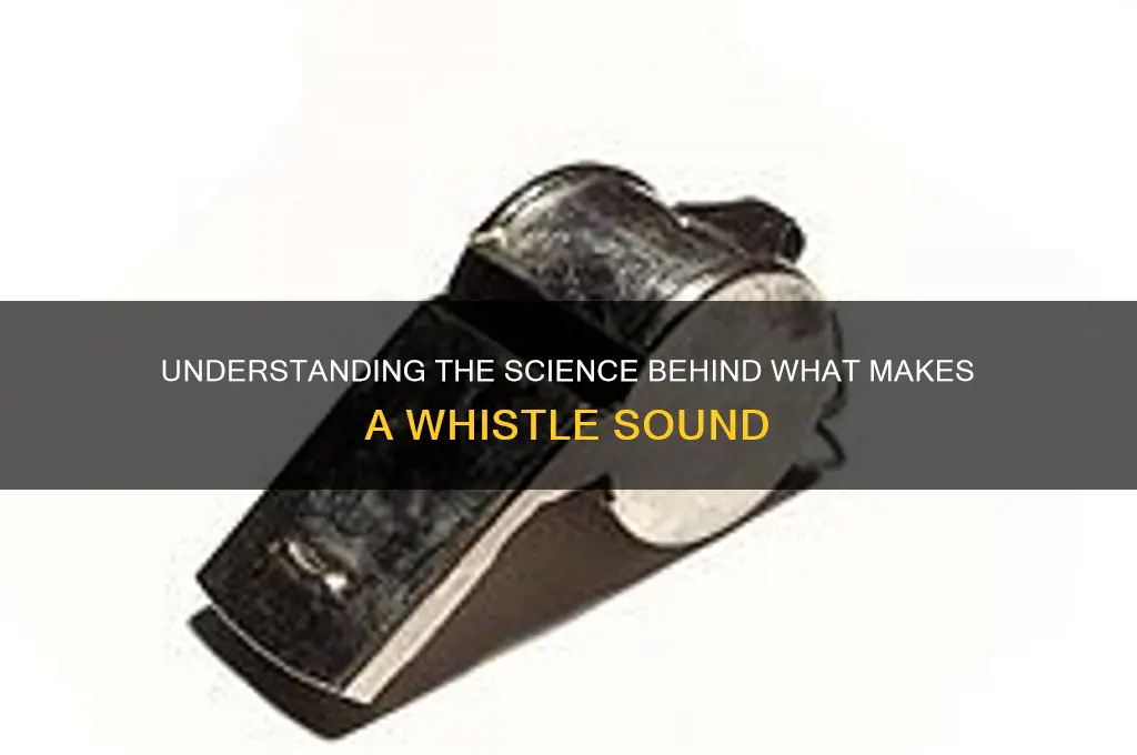 what makes a whistle sound