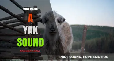 Unraveling the Unique Vocalizations: What Makes a Yak Sound Distinct