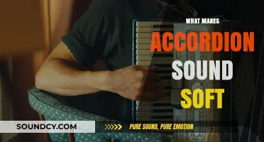 Unveiling the Gentle Tone: What Makes Accordion Sound Soft and Soothing