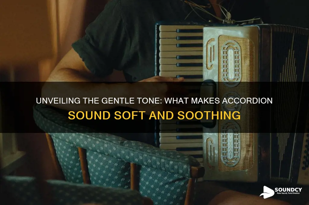 what makes accordion sound soft