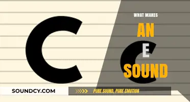 Exploring the E Sound: Phonetics, Formation, and Linguistic Nuances